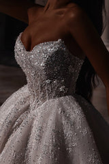 Beaded Lace Ball Gown Wedding Dress with Sheer Corset Bodice and Long Train