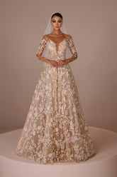 Champagne Beach Wedding Dress A Line V Neck Illusion Sleeves Floor Length Tulle Bridal Gown With Appliques