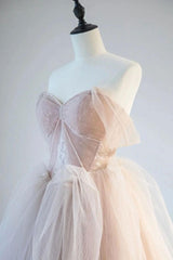 Champagne Prom Dress Off the Shoulder Tulle Lace Long Formal Dress Evening Dress