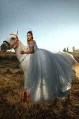 Dusty Blue Prom Dress A Line Off The Shoulder Sleeveless Lace Tulle Formal Dress With Sequins