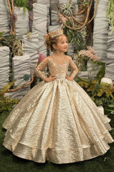 Gold Ball Gown Long Sleeves Crew Neck Flower Girl Dress with Lace Appliques