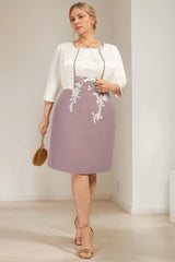 Plus Size Knee-Length Mother of the Bride A-Line Dress with V-Neck and Lace Appliques