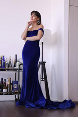 Royal Blue Velvet Evening Dress Mermaid Christmas Party Dress