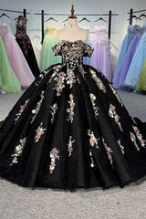 Sequin Quinceanera Dress Scoop Appliques Sweet 16 Ball Gown Party Dress