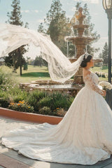 White Wedding Dress V Neck Lace Sequined Ball Gown Sleeves Cathedral Train Bridal Gown