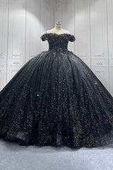 Black Quinceanera Dress Sweet 15 Evening Dress Crystal Sleeveless Beading Flowers Ball Gown Dress