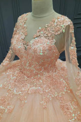 Ball Gown V Neck Long Sleeves 3D Flower Appliques Beaded Pink Tulle Evening Party Gown Quinceanera Dress For Sweet 16