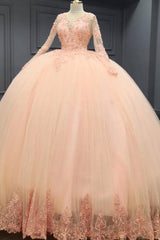 Ball Gown V Neck Long Sleeves 3D Flower Appliques Beaded Pink Tulle Evening Party Gown Quinceanera Dress For Sweet 16