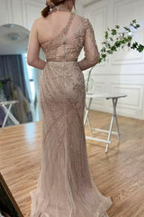 Brown Mermaid Prom Dress Long Sleeve Halter Neck Evening Dress With Lace Appliques