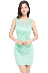 Red Lace Crew Neck Cocktail Party Sleeveless Bodycon Wedding Party Dress