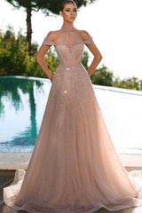 Champagne A Line Prom Dress Halter Neck Sequined Evening Dress