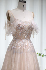 Champagne A Line Prom Dress Spaghetti Straps Evening Dress With Lace Appliques