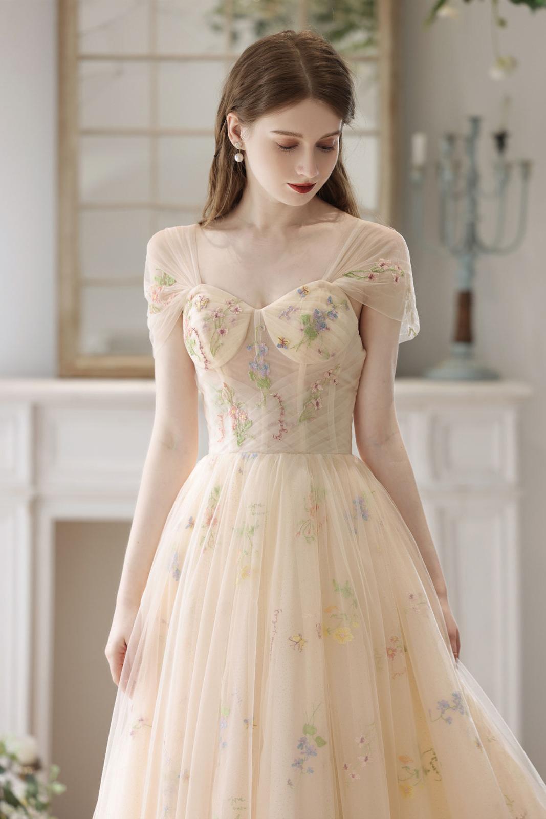 Champagne Prom Dress Tulle Lace Long A Line Formal Evening Dress