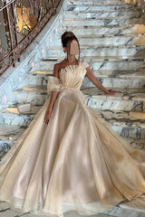 Champagne Tulle A Line Prom Dress with Fan Pleated Bodice and Bow Sleeve