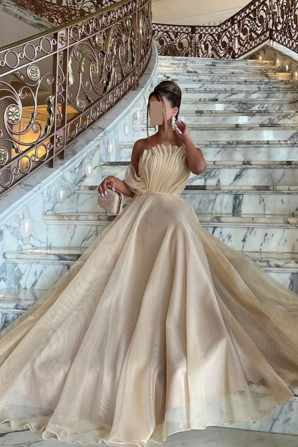 Champagne Tulle A Line Prom Dress with Fan Pleated Bodice and Bow Sleeve