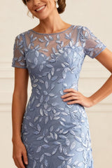 Dreamyannie Dusty Blue Lace Mermaid Floor Length Mother Of The Bride Dress With Sleeves