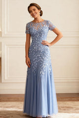 Dreamyannie Dusty Blue Lace Mermaid Floor Length Mother Of The Bride Dress With Sleeves