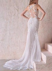 Elegant Lace/Tulle Beach Wedding Dresses with Trumpet/Mermaid Illusion Neck