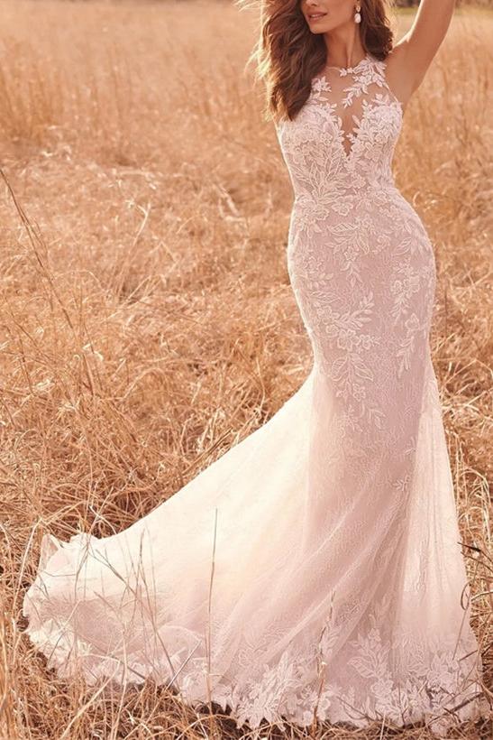Elegant Lace/Tulle Beach Wedding Dresses with Trumpet/Mermaid Illusion Neck