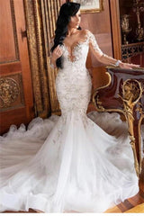 Long Sleeve Mermaid Lace Applique Wedding Dress