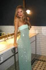 Modern Sequin Strapless Prom Gown With Minimalist Design And Glamorous Finish Formal Evening Gown