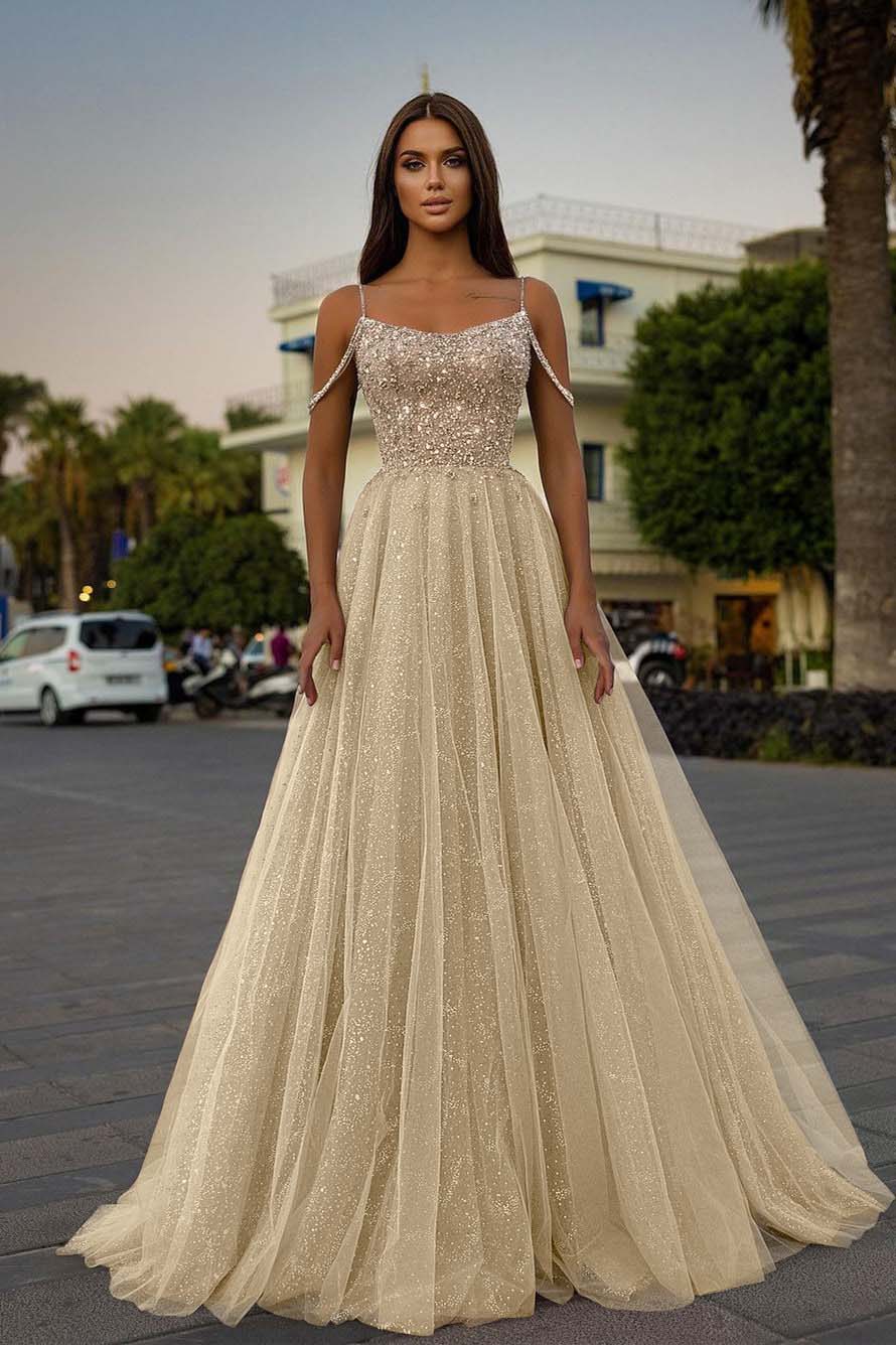 Pink A Line Prom Dress Spaghetti Straps Sleeveless Beaded Evening Dress