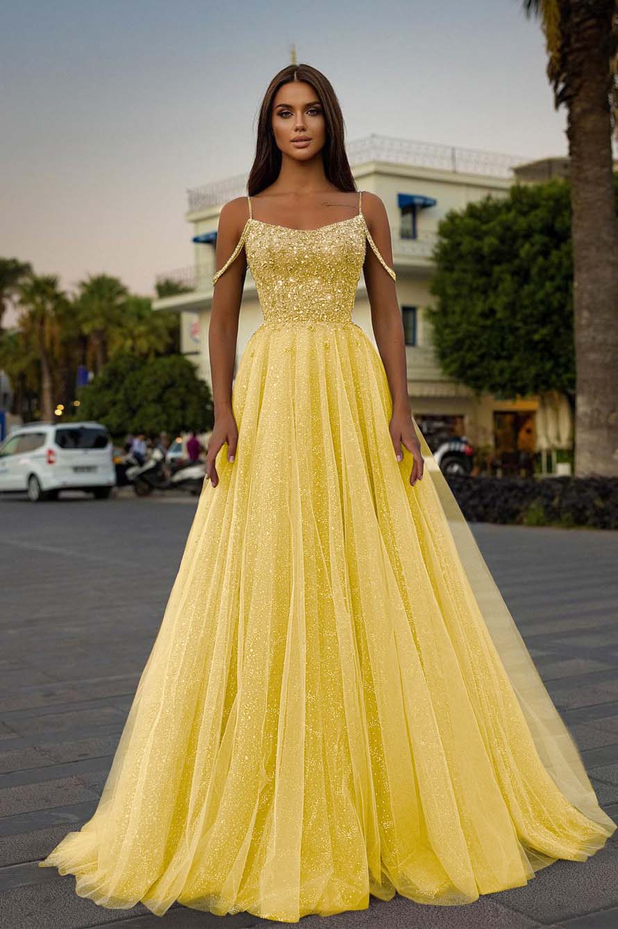 Pink A Line Prom Dress Spaghetti Straps Sleeveless Beaded Evening Dress