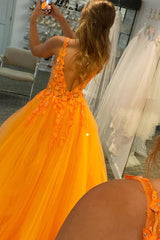 Princess A Line Prom Dress Deep V Neck Blush Long Evening Dress with Appliques