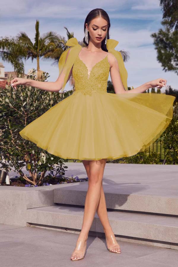 Spaghetti Straps Graduation Dress Sleeveless Short Cocktail Dress With Appliques