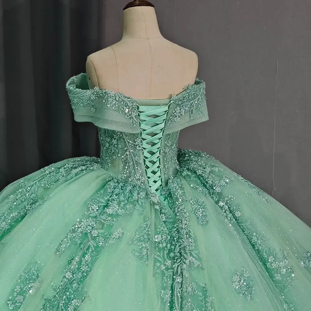 Wedding Dress Quinceanera Dress Ball Gown Lace Applique Beading Sweetheart Sweet 16 Party Dress