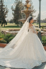 White Wedding Dress V Neck Lace Sequined Ball Gown Sleeves Cathedral Train Bridal Gown