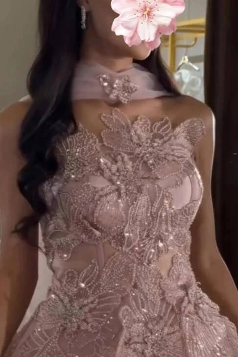 Stunning Pink Prom Dress Beaded Lace Appliqued Corset Tulle Evening Dress with Watteau Train